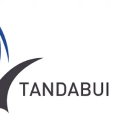 tandabuisolutions.com's icon