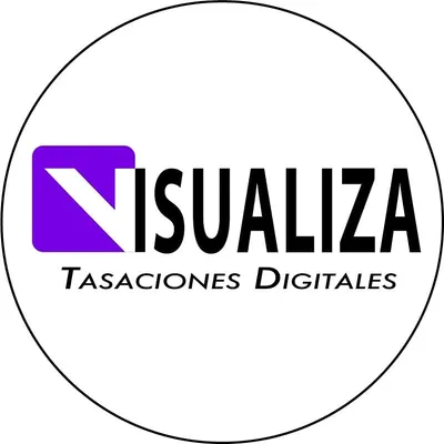tasacionesvisualiza.cl's icon