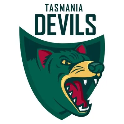 tasdevils.com.au's icon