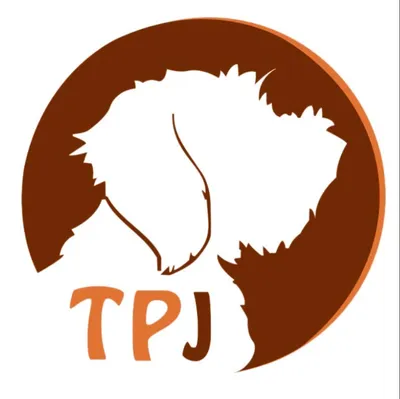 tashispetjunction.com's icon