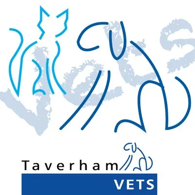 taverhamvets.co.uk's icon