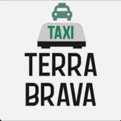 taxiterrabrava.pt's icon