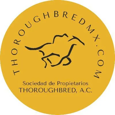 tbmx.org's icon