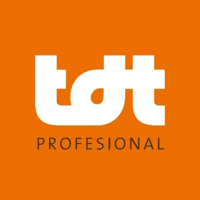 tdtprofesional.com's icon