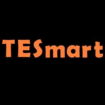 te-smart.com's icon