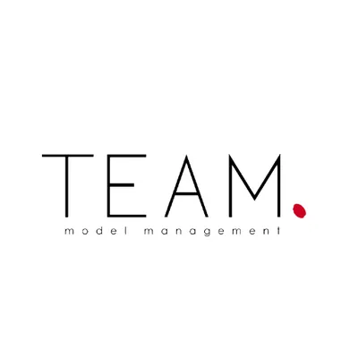 teamagency.gr's icon