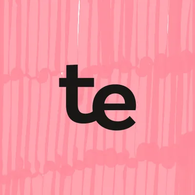 teamecho.com's icon