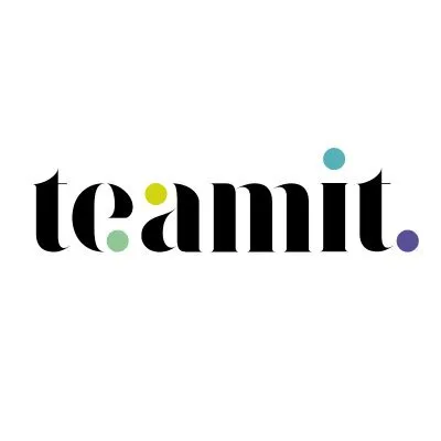 teamitresearch.com's icon