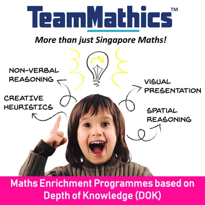 teammathics.com.my's icon