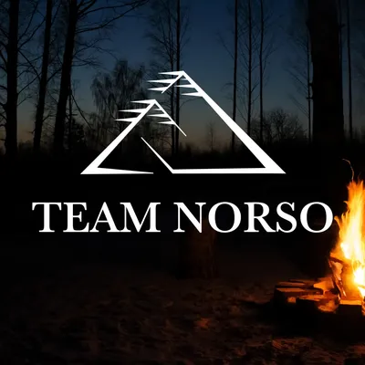 teamnorso.com's icon