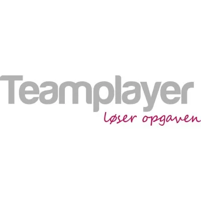 teamplayer.dk's icon