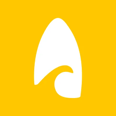teamsurfboard.com's icon