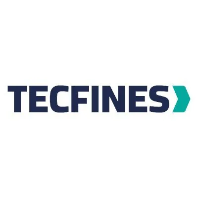 tecfines.com's icon