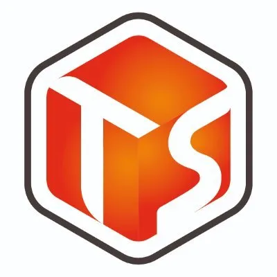 technologieservices.fr's icon