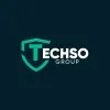 techsogroup.com's icon