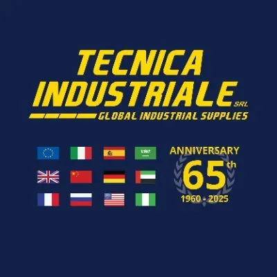 tecnicaindustriale.com's icon