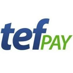 tefpay.com's icon