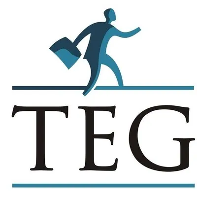 teg.lt's icon