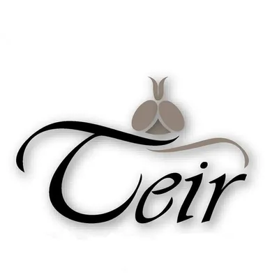 teir.cz's icon