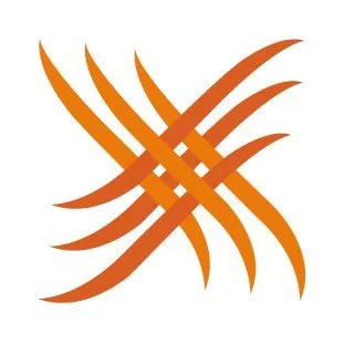 tejidosxocotlan.com's icon