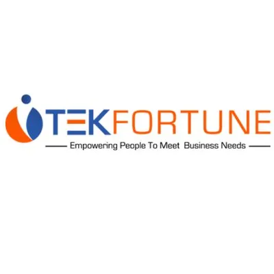 tekfortune.com's icon