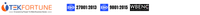 Tekfortune logo