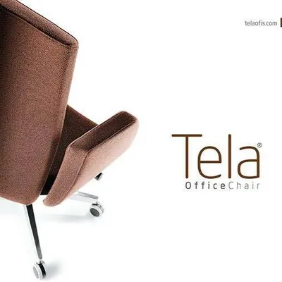 telaofis.com's icon