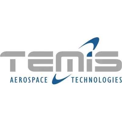 temissrl.com's icon