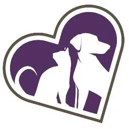 tendertouchvet.com's icon