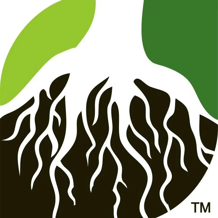 Tenetree Outlet Coupons and Promo Code