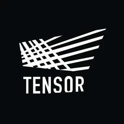 Tensor Se European company (SE)