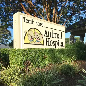 tenthstvet.com's icon
