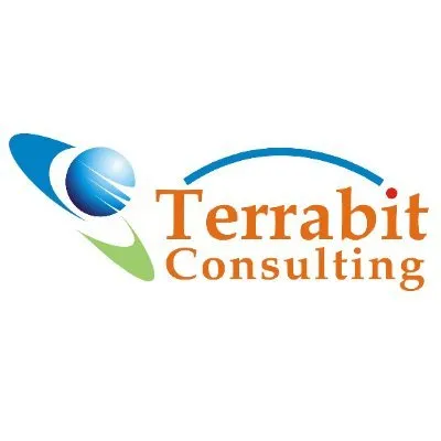 terrabit-consulting.com's icon