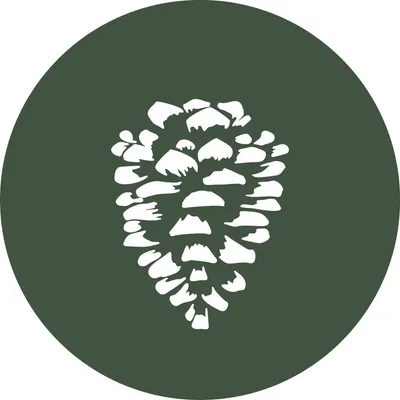 terraverta.com's icon