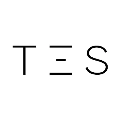 TES's icon