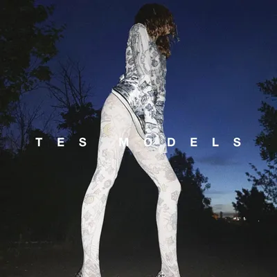 tesmodels.com's icon