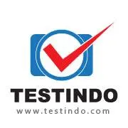 testindo.com's icon
