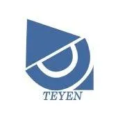teyen.com's icon