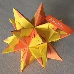 tfjm.org's icon