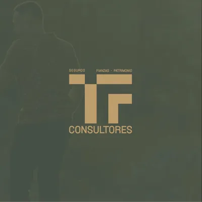 tfseguros.com's icon
