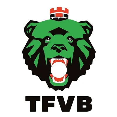 tfvb.de's icon