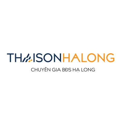 Thái Sơn Hạ Long's icon