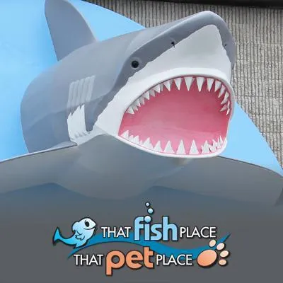 thatfishplace.com's icon