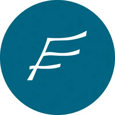 the-flag.de's icon