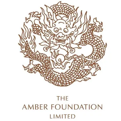 theamberfoundation.org's icon