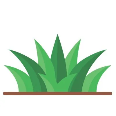 thebackyardpros.com's icon