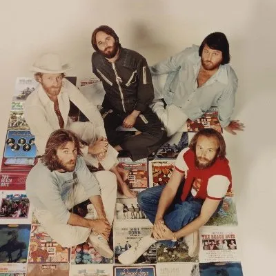 The Beach Boys's icon
