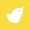 thebirdboxmcr.co.uk's icon