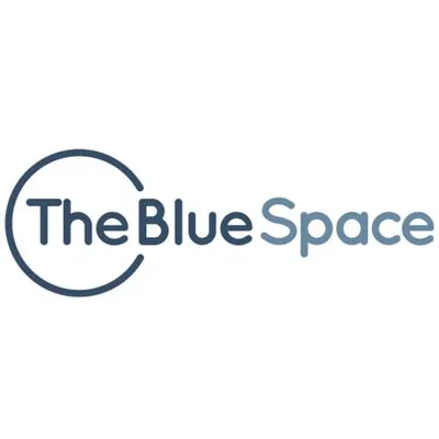 thebluespace.com.au's icon
