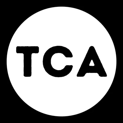 thechefagency.com's icon